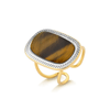 0147623-----0125.AN120OLHOTIGRE