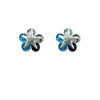 0150036---300582TS